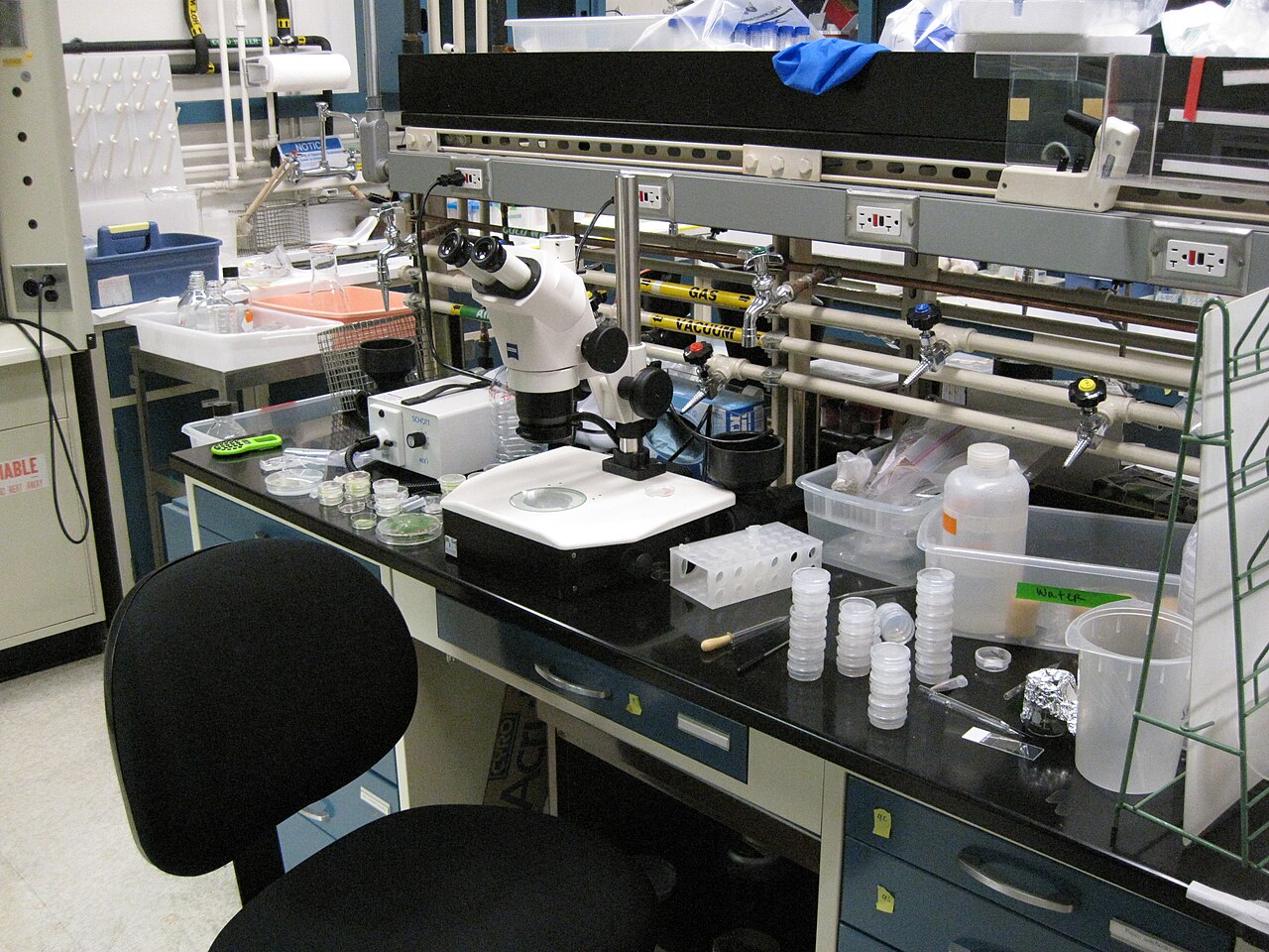 Synthetic Biology Lab